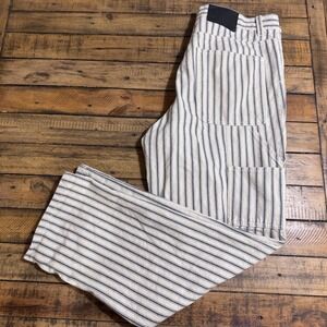 BDG Urban Outfitters Mens Straight Leg Striped Pants 32x30 White Blue Casual